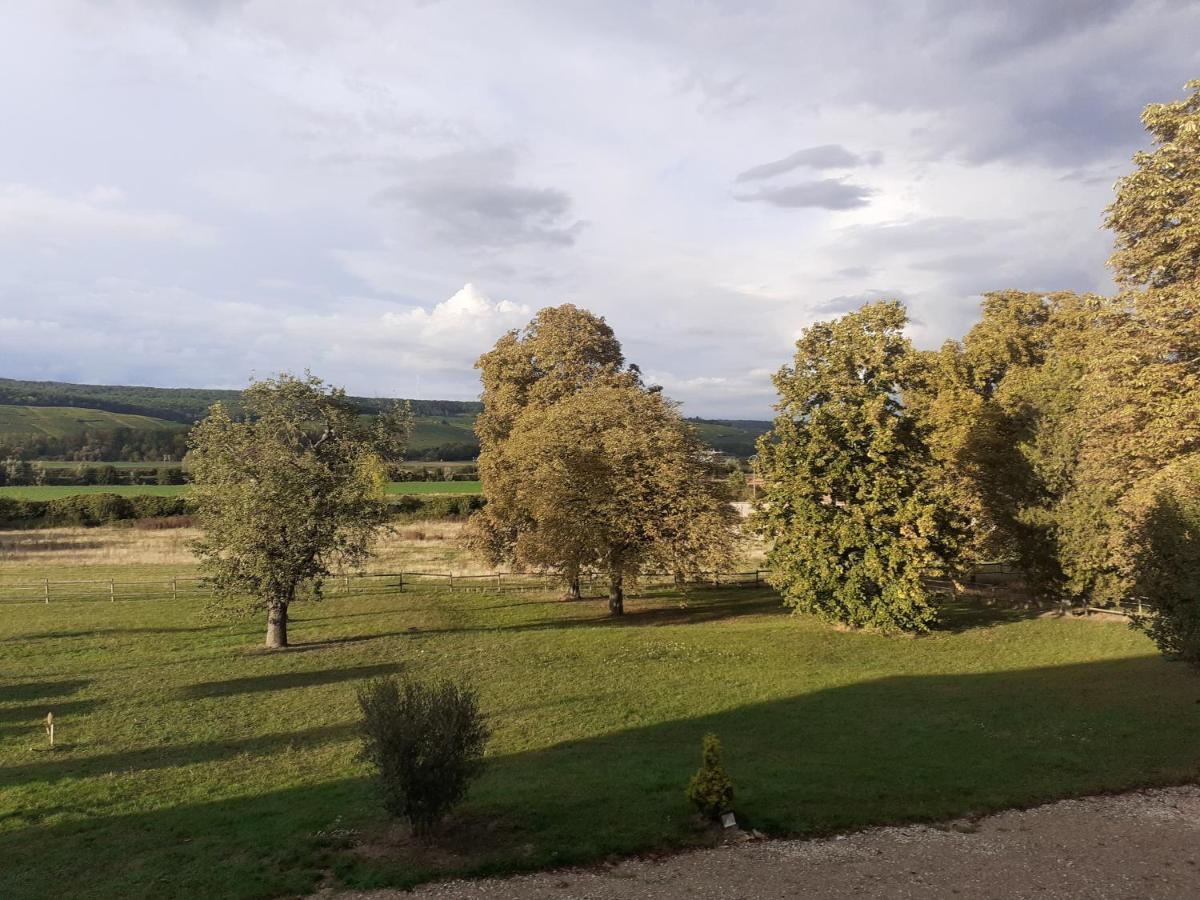 Bed and Breakfast Domaine-De-La-Borde A Epernay Mardeuil Esterno foto