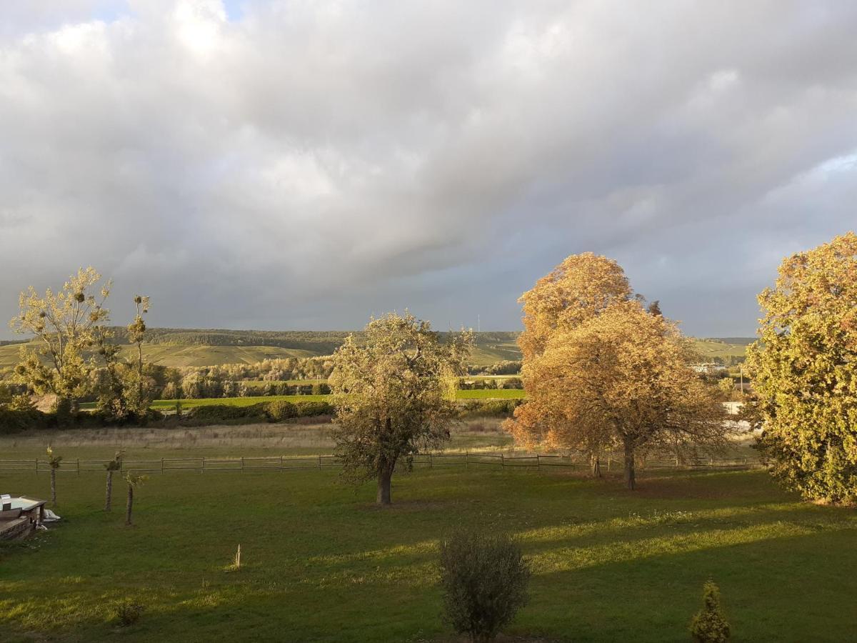 Bed and Breakfast Domaine-De-La-Borde A Epernay Mardeuil Esterno foto