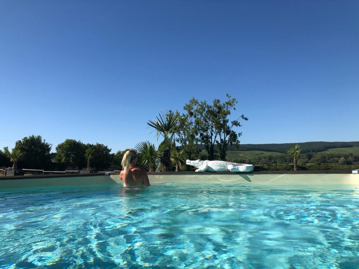 Bed and Breakfast Domaine-De-La-Borde A Epernay Mardeuil Esterno foto