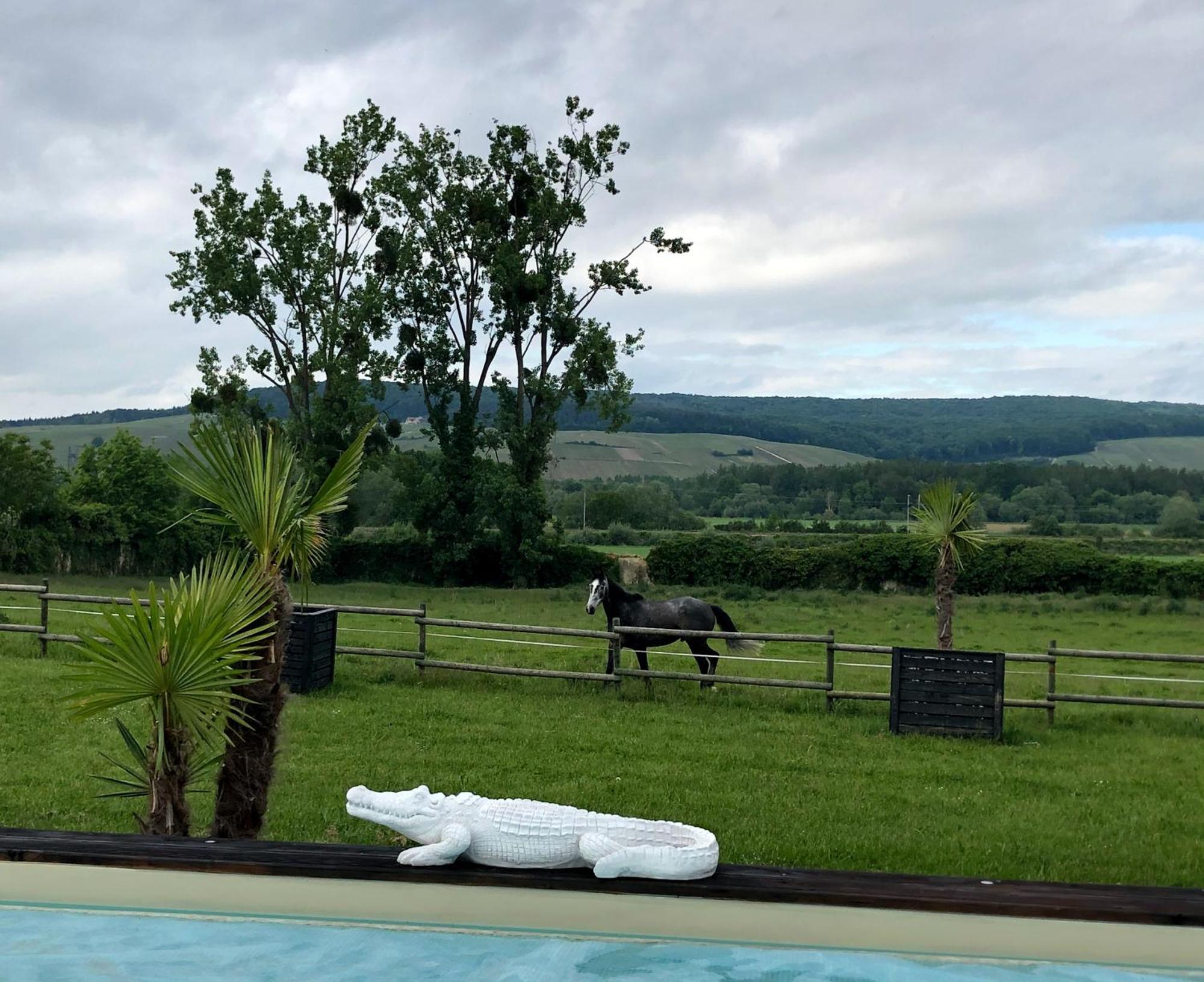 Bed and Breakfast Domaine-De-La-Borde A Epernay Mardeuil Esterno foto