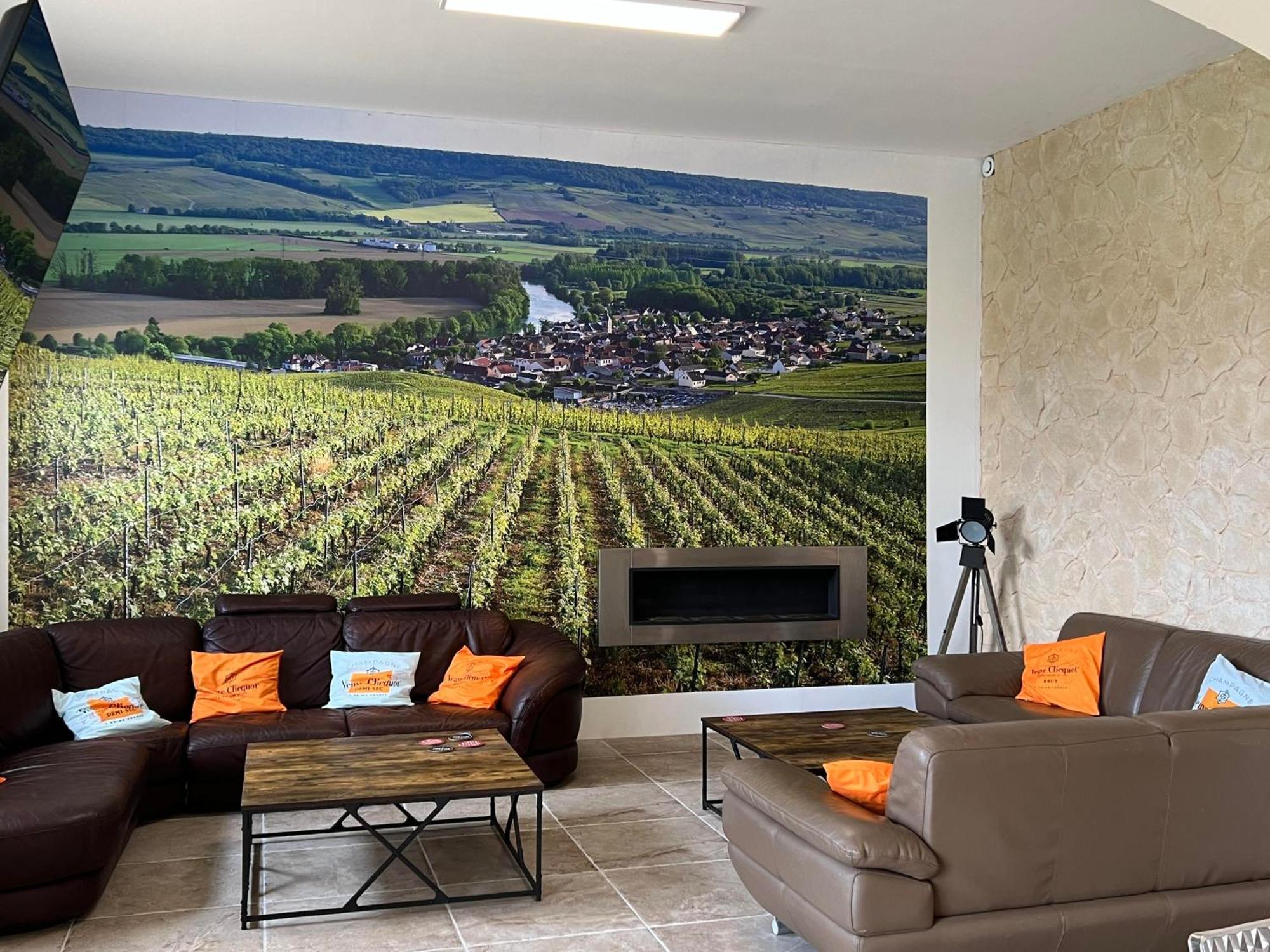 Bed and Breakfast Domaine-De-La-Borde A Epernay Mardeuil Esterno foto